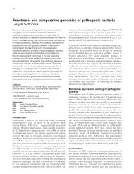 Functional and comparative genomics of pathogenic bacteria ... - CBS