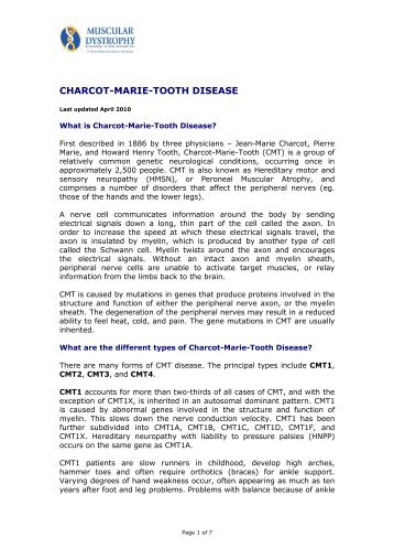 Charcot-Marie-Tooth Disease - Muscular Dystrophy Association of ...