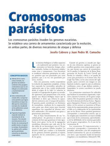 Cromosomas parásitos - Investigación y Ciencia