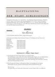 Hauptsatzung Schleusingen - Stadt Schleusingen