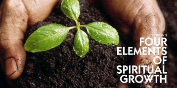 FOUR ELEMENTS OF SPIRITUAL GROWTH - Holy Spirit Interactive