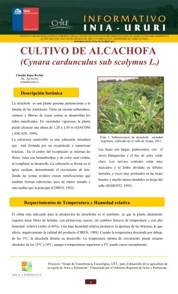 Cultivo de alcachofa (Cynara cardunculus sub ... - Platina - INIA