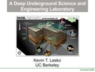 Deep Underground Science and Engineering Lab - Project Science