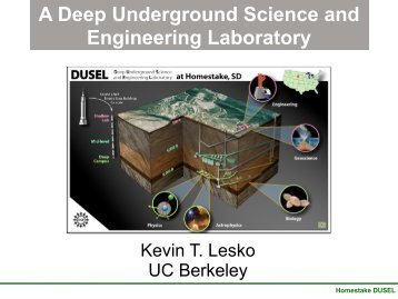 Deep Underground Science and Engineering Lab - Project Science