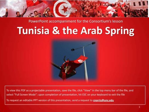 Tunisia & the Arab Spring