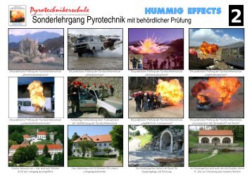 Anmeldung zum Sonderlehrgang Pyrotechnik - Pyrotechnikerschule ...