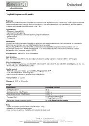 Maximo Taq DNA Polymerase 2X-preMix - GeneON