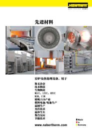 品目录先进材料 - 德国纳博热工业炉公司上海代表处