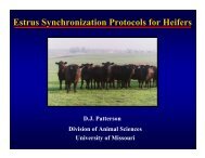 Estrus Synchronization Protocols for Heifers