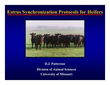 Estrus Synchronization Protocols for Heifers