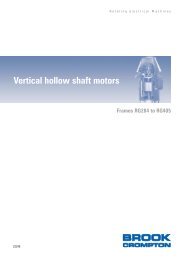 Vertical hollow shaft motors - Brook Crompton