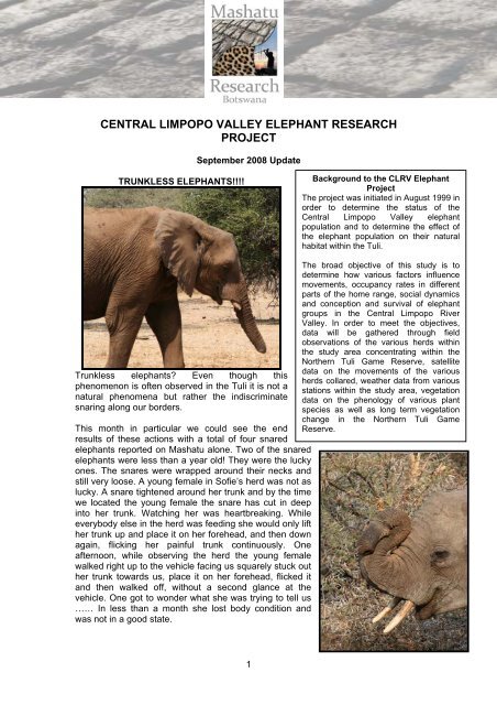 central limpopo valley elephant research project - Mashatu Game ...