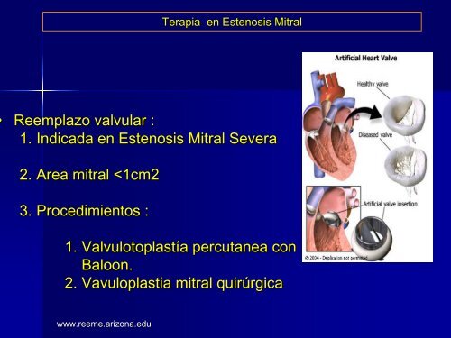 Diapositiva 1 - Reeme.arizona.edu