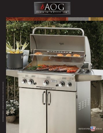 American Outdoor Grill Brochure - All Valley BBQ, Spa & Fireplace