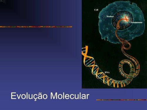 Evolucao Molecular.pdf - Instituto de Biologia da UFRJ