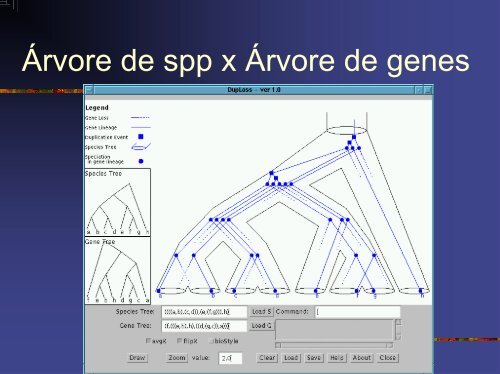 Evolucao Molecular.pdf - Instituto de Biologia da UFRJ