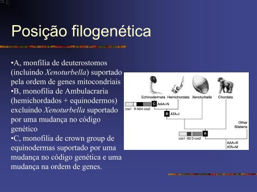 Evolucao Molecular.pdf - Instituto de Biologia da UFRJ