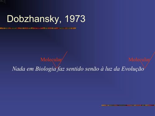 Evolucao Molecular.pdf - Instituto de Biologia da UFRJ