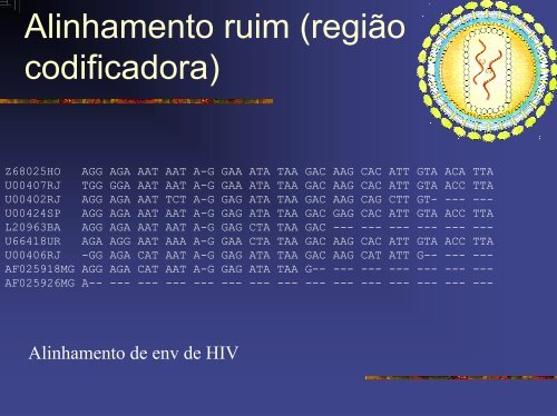 Evolucao Molecular.pdf - Instituto de Biologia da UFRJ