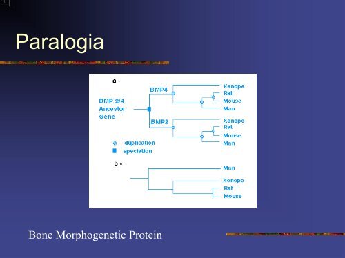 Evolucao Molecular.pdf - Instituto de Biologia da UFRJ