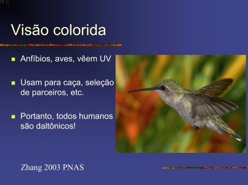 Evolucao Molecular.pdf - Instituto de Biologia da UFRJ