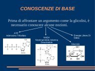 CONOSCENZE DI BASE