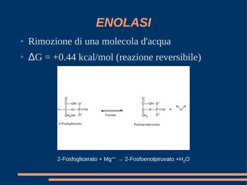 CONOSCENZE DI BASE