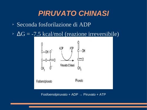 CONOSCENZE DI BASE