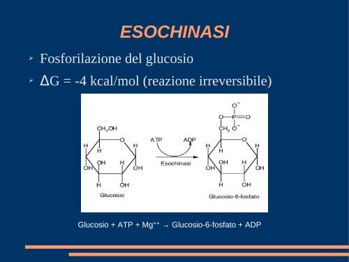 CONOSCENZE DI BASE