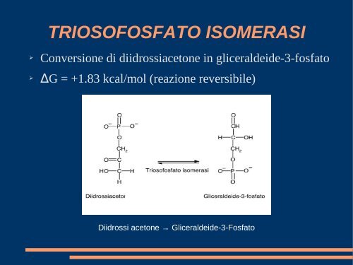 CONOSCENZE DI BASE