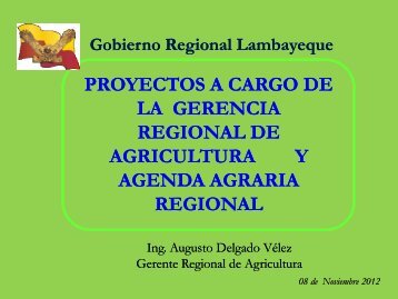 Diapositiva 1 - Proyecto de Seguros para la adaptaciÃ³n al cambio ...
