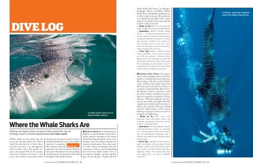 Scuba Diving Magazine - Terry Ward