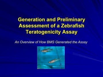 Generation of a Zebrafish Teratogenicity Assay: Early-Phase ...