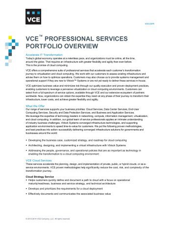 VCE Professional Services Portfolio Overview