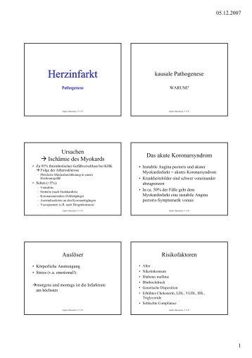 Herzinfarkt - Pathogenese - echsi.de