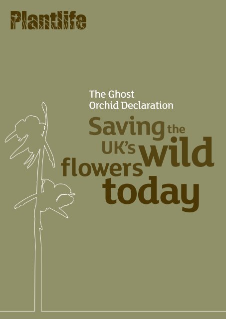 Ghost Orchid Declaration - Plantlife