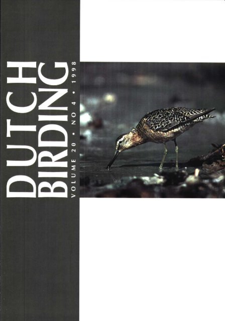 1998-4 - Dutch Birding