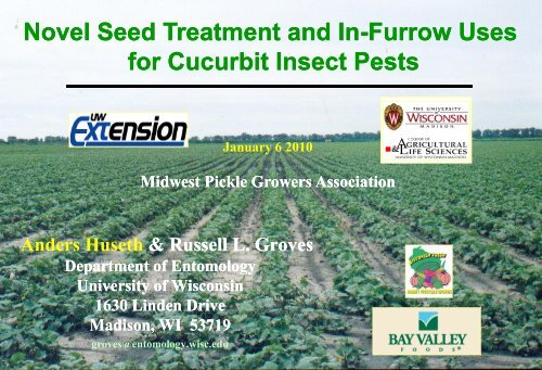 Novel seed treatment and in-furrow uses for cucurbit insect pests