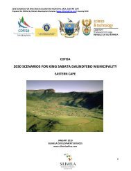 COFISA 2030 Scenarios for King Sabata Dalindyebo Municipality ...