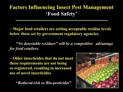 Revising the Aster Yellows Index and Management in Wisconsin