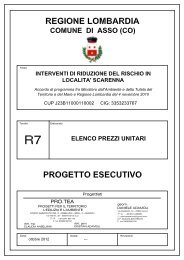 R7 - Elenco prezzi unitari - Comune di Asso