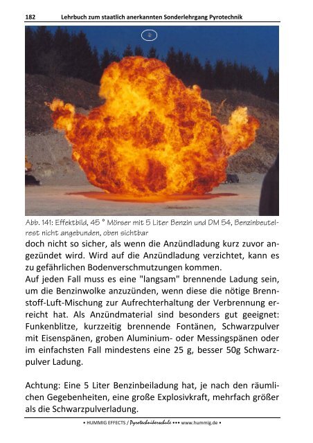 Lehrbuch zum Sonderlehrgang Pyrotechnik - Pyrotechnikerschule ...