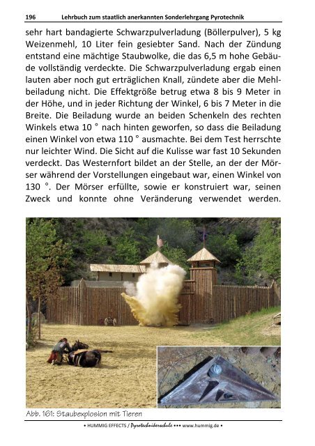 Lehrbuch zum Sonderlehrgang Pyrotechnik - Pyrotechnikerschule ...