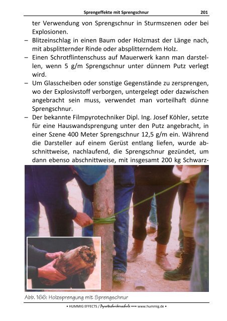 Lehrbuch zum Sonderlehrgang Pyrotechnik - Pyrotechnikerschule ...