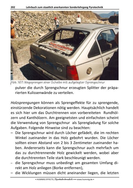 Lehrbuch zum Sonderlehrgang Pyrotechnik - Pyrotechnikerschule ...