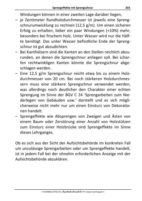 Lehrbuch zum Sonderlehrgang Pyrotechnik - Pyrotechnikerschule ...