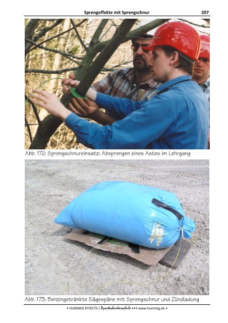 Lehrbuch zum Sonderlehrgang Pyrotechnik - Pyrotechnikerschule ...