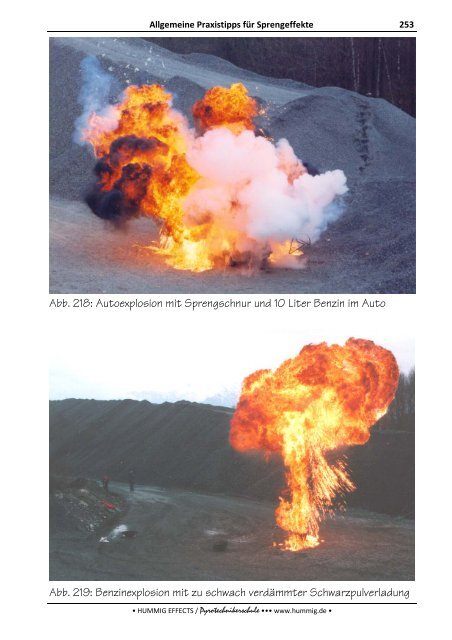 Lehrbuch zum Sonderlehrgang Pyrotechnik - Pyrotechnikerschule ...