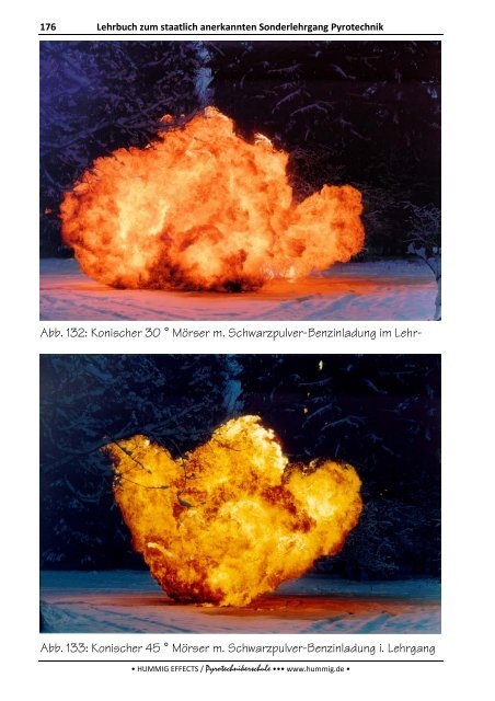 Lehrbuch zum Sonderlehrgang Pyrotechnik - Pyrotechnikerschule ...