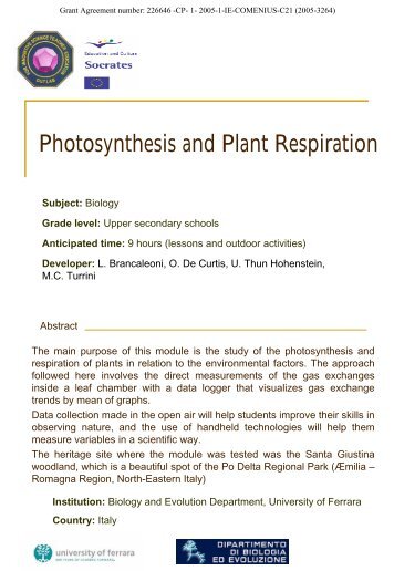 Photosynthesis and Plant Respiration - OutLab.ie